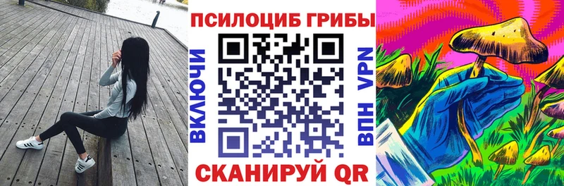 Псилоцибиновые грибы Psilocybine cubensis  omg   Лахденпохья 